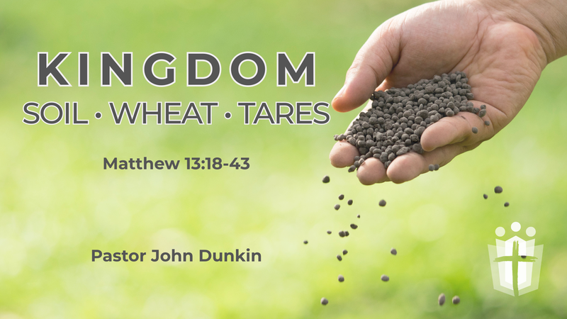 KINGDOM Soil - Wheat - Tares