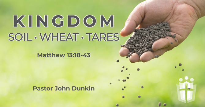 KINGDOM Soil - Wheat - Tares