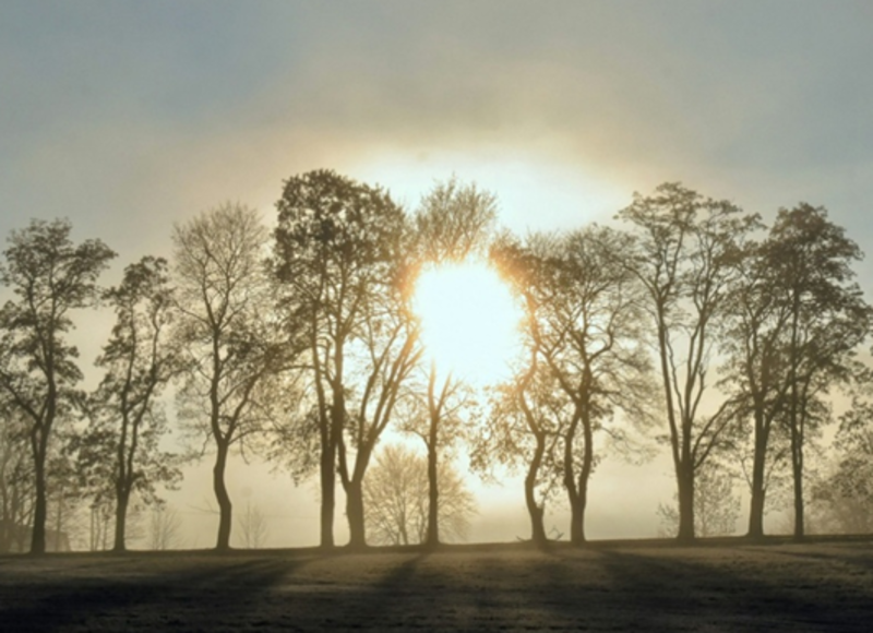 Rev. Karen's Reflection for February 15th, 2026