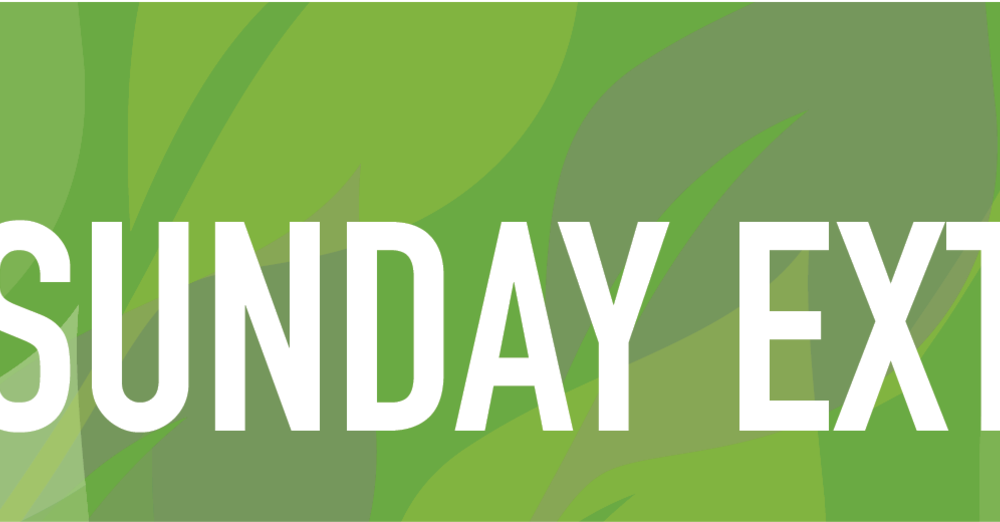 Sunday Extra, 29 January 2026