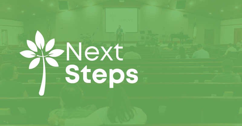 Next Steps