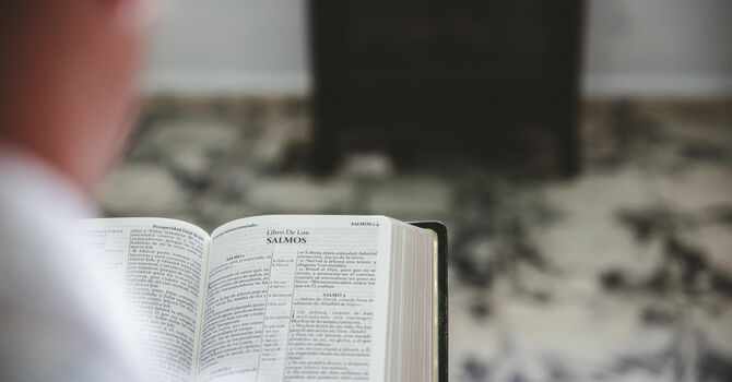 Area Text Study for Pastors