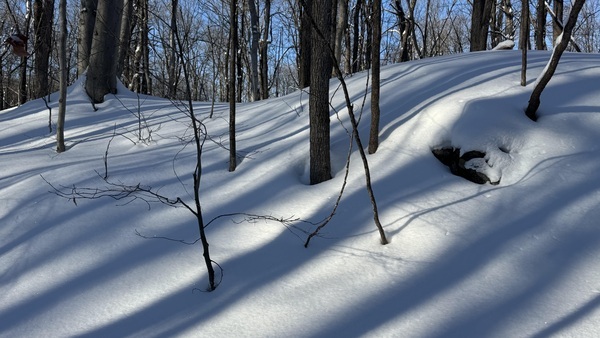 Family Day Office Closure