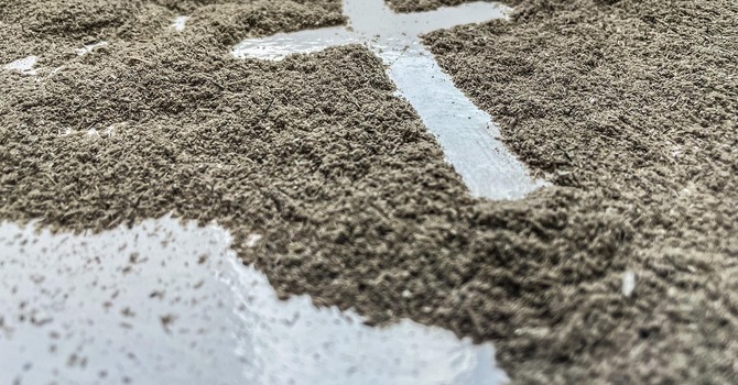 Ash Wednesday Service image