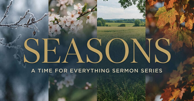 Your Season Has a Divine Purpose