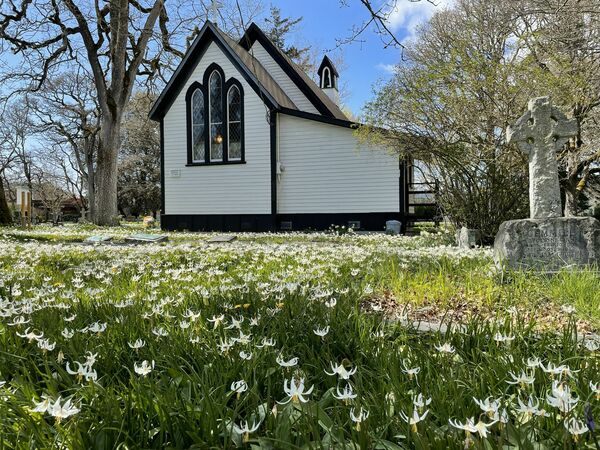 Invitation to Community