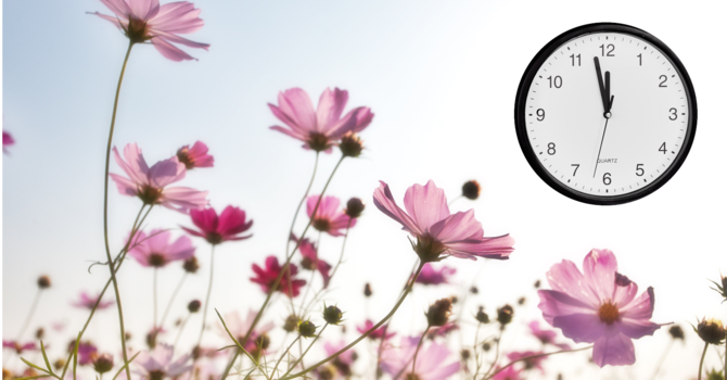 Daylight Savings Time Begins