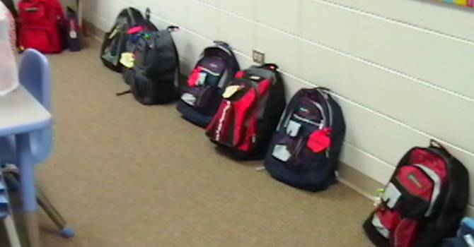 Children's Book Bags