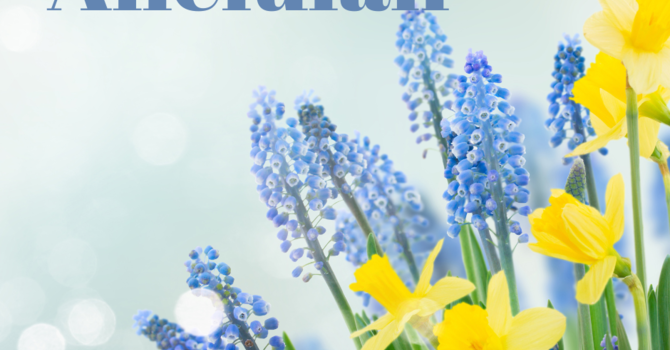 2nd Sunday of Easter