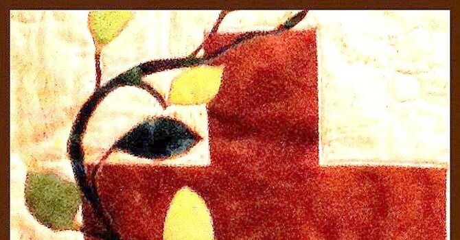 Friday Focus 13 February 2026