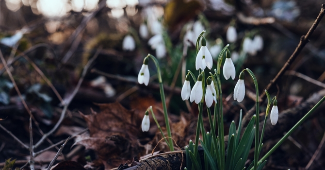 In Response to the Tumbler Ridge School Tragedy