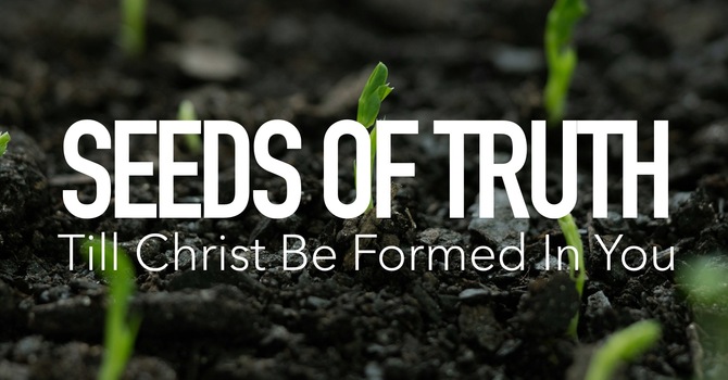 Seeds Of Truth