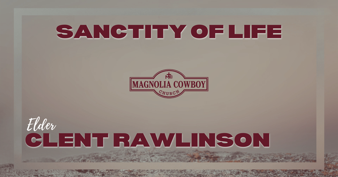 The Sanctity of Life image