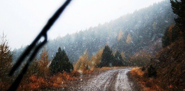 The week of February 15, 2026