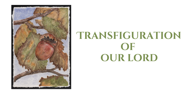 Transfiguration of Our Lord