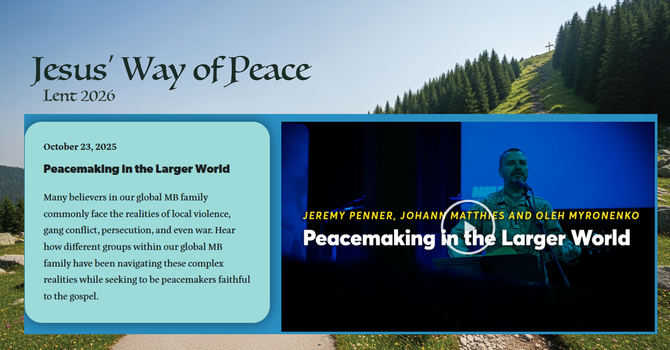 Peacemaking in the Larger World