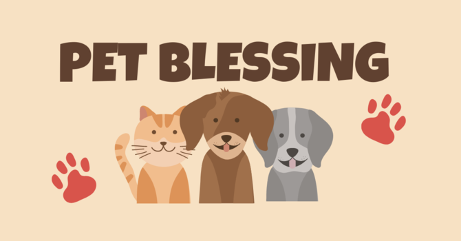 Pet Blessings