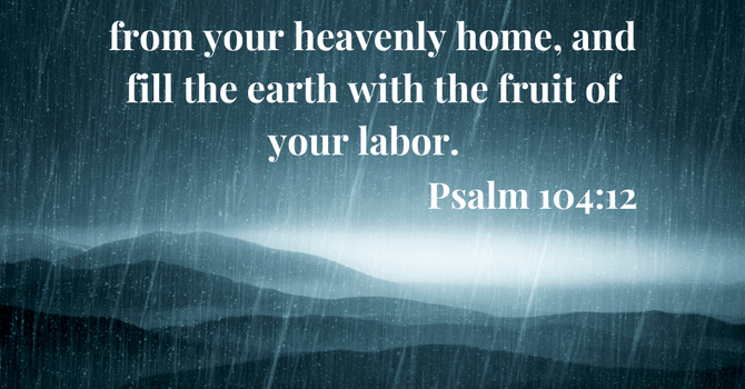 Psalm 104:12 image