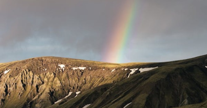 February 14, 2026 Devotion image