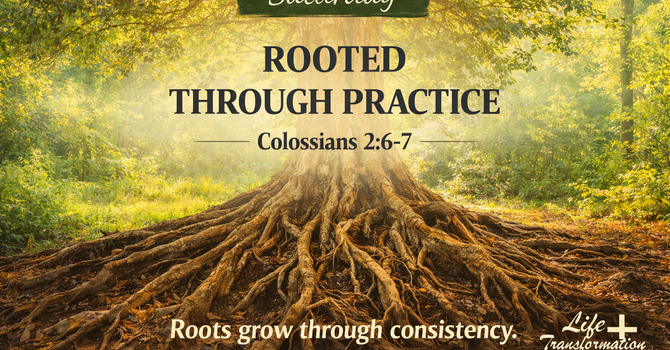Rooted Through Practice image
