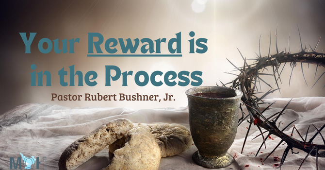 Your Reward is in the Process