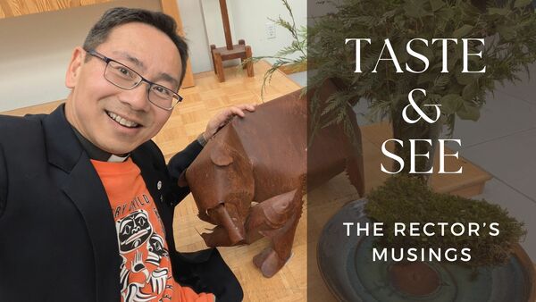 TASTE & SEE: The Rector's Musings