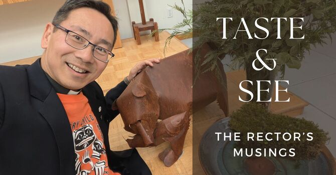 TASTE & SEE: The Rector's Musings image