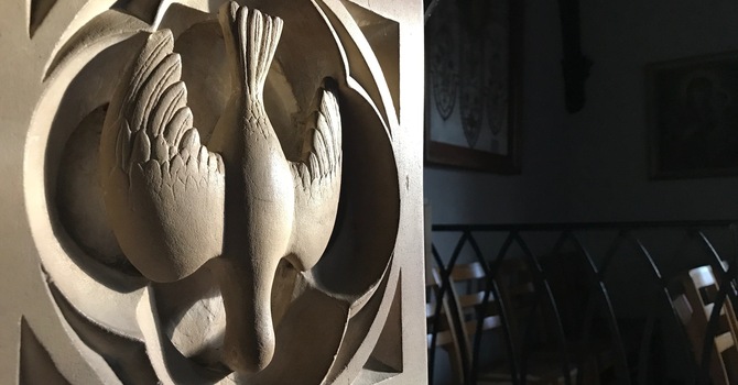 10:30 am Bulletin for      February 15, 2026 image