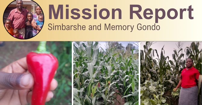January 2026 Mission Report - Simbarshe and Memory Gondo