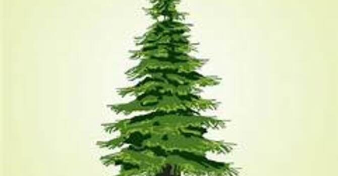 常青坊 - 2026年3月活動