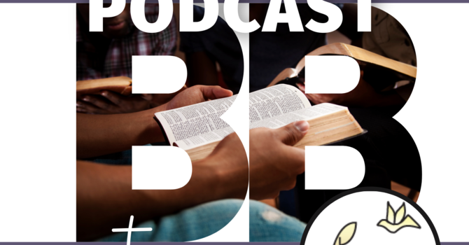 New podcast: the Bible Bit Podcast