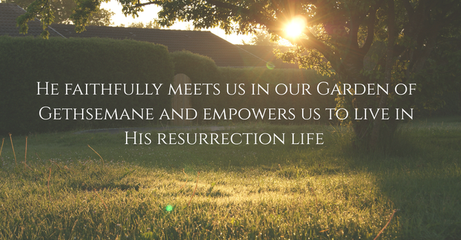 The Son Who Trembled: Jesus’ Humanity and Our Walk as Sons, Hebrews 5:1-10