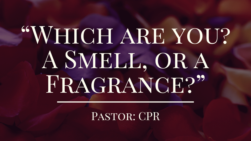 "Which are you? A Smell or a Fragrance?"