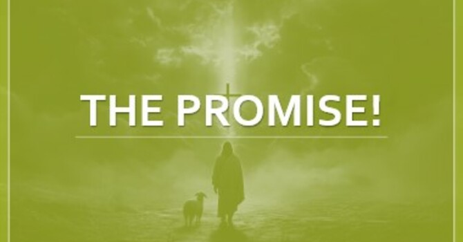 The Promise