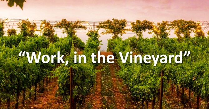 Work, in the Vineyard