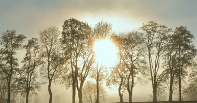 Rev. Karen's Reflection for February 15th, 2026