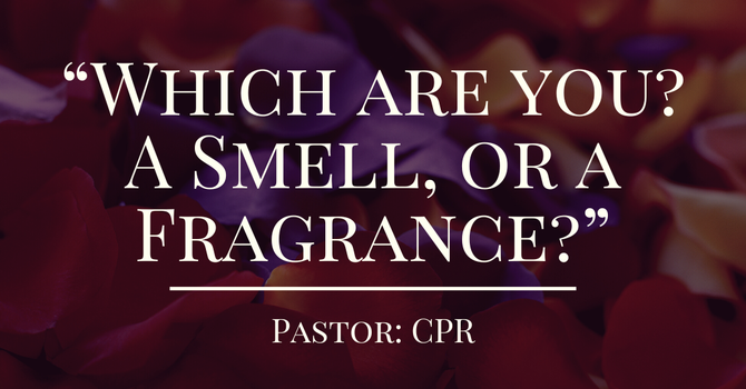 "Which are you? A Smell or a Fragrance?"