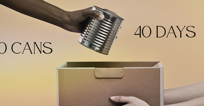 40 Cans | 40 Days image