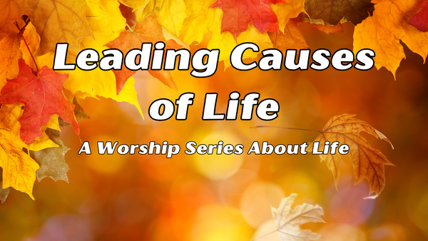 Leading Causes of Life