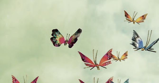 Meeting Christ in the Bible