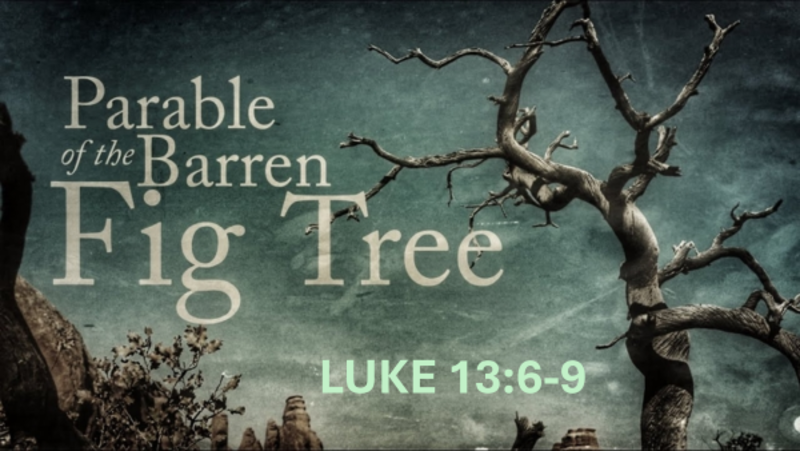 Parable of the Fig Tree