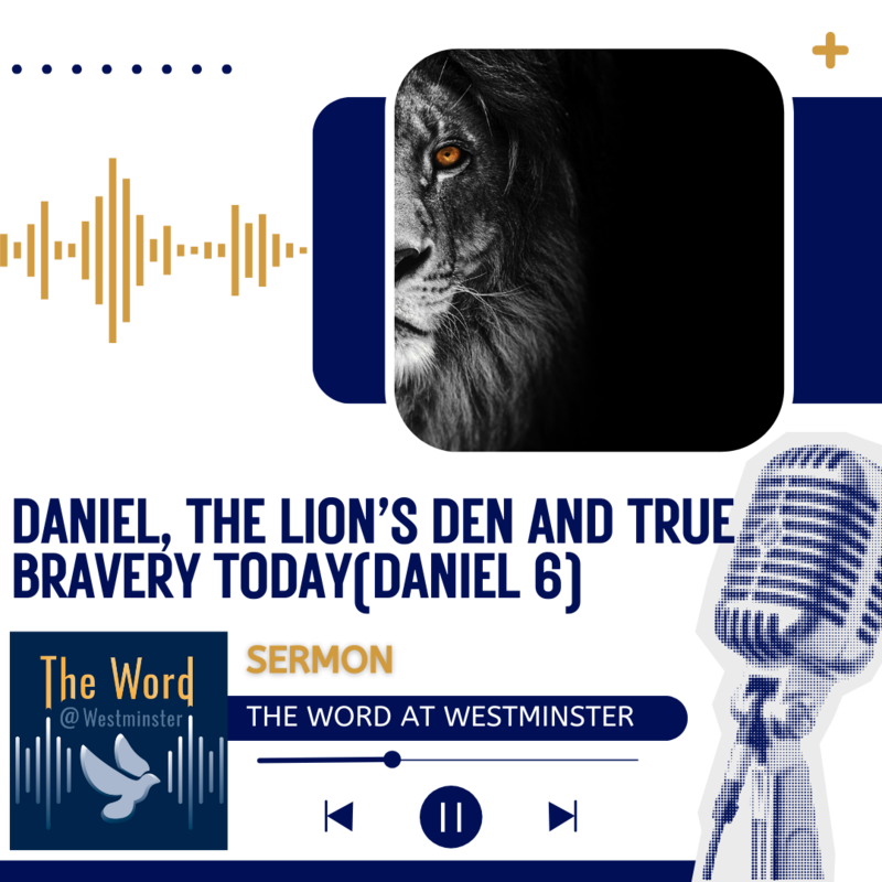 Daniel, The Lion’s Den and True Bravery Today