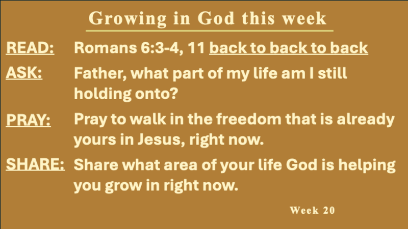 Jesus is the True and Better Esther | Received by the King