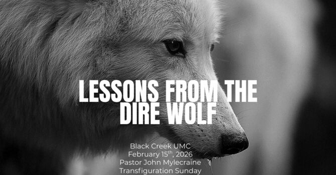Lessons from the Dire Wolf