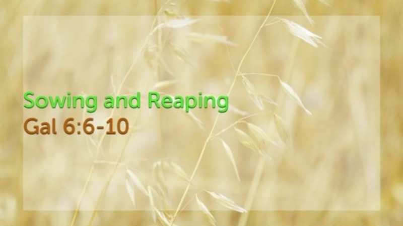 Galatians 6:6-10