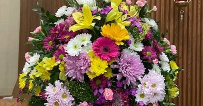  Sanctuary Flowers image