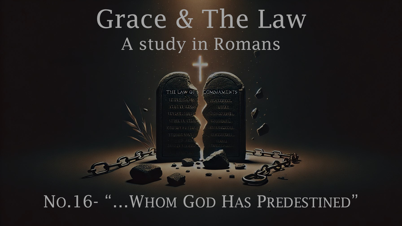 No. 16- Those Whom He Predestined
