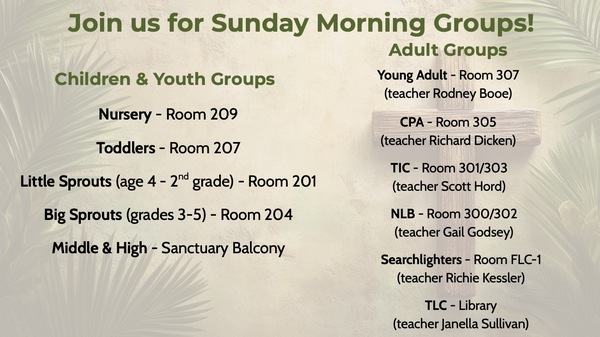 Sunday Morning Bible Studies