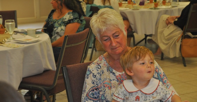 The Swan: February 2026 image