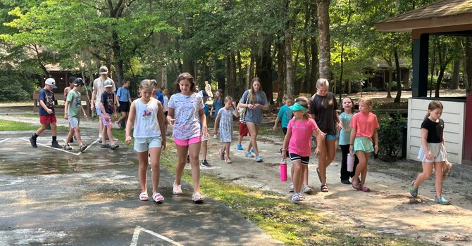 The Swan: December 2025 image